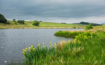 Dean Clough Reservoir Walk