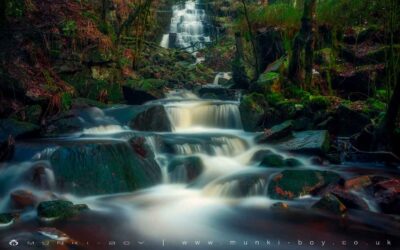 Brinscall Woods (Hatch Brook Waterfall Walk)