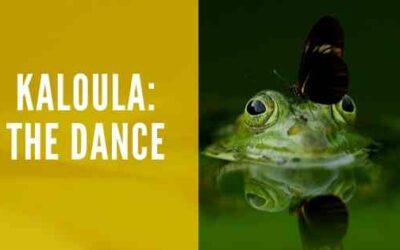 Kaloula the Dance – AI Generated Fiction