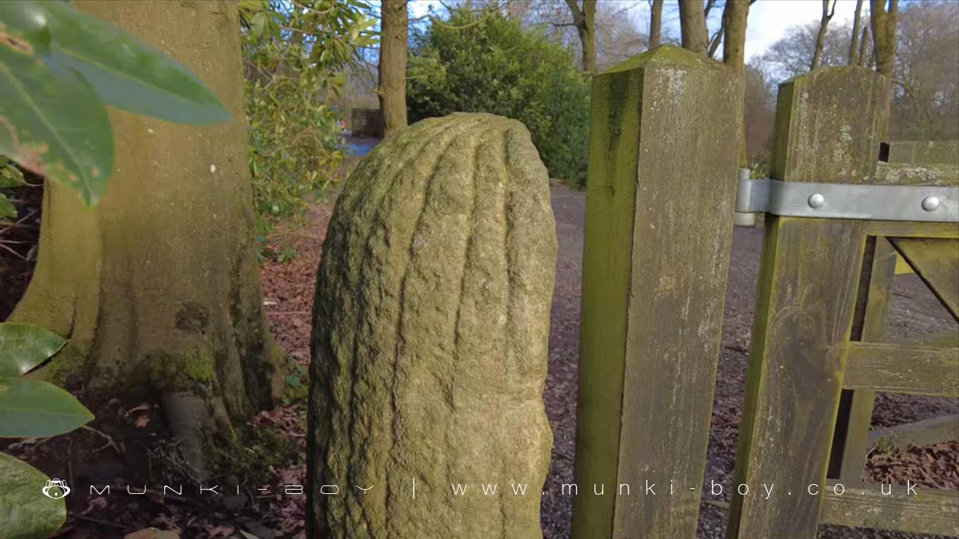 Cactus Gatepost at Smithills