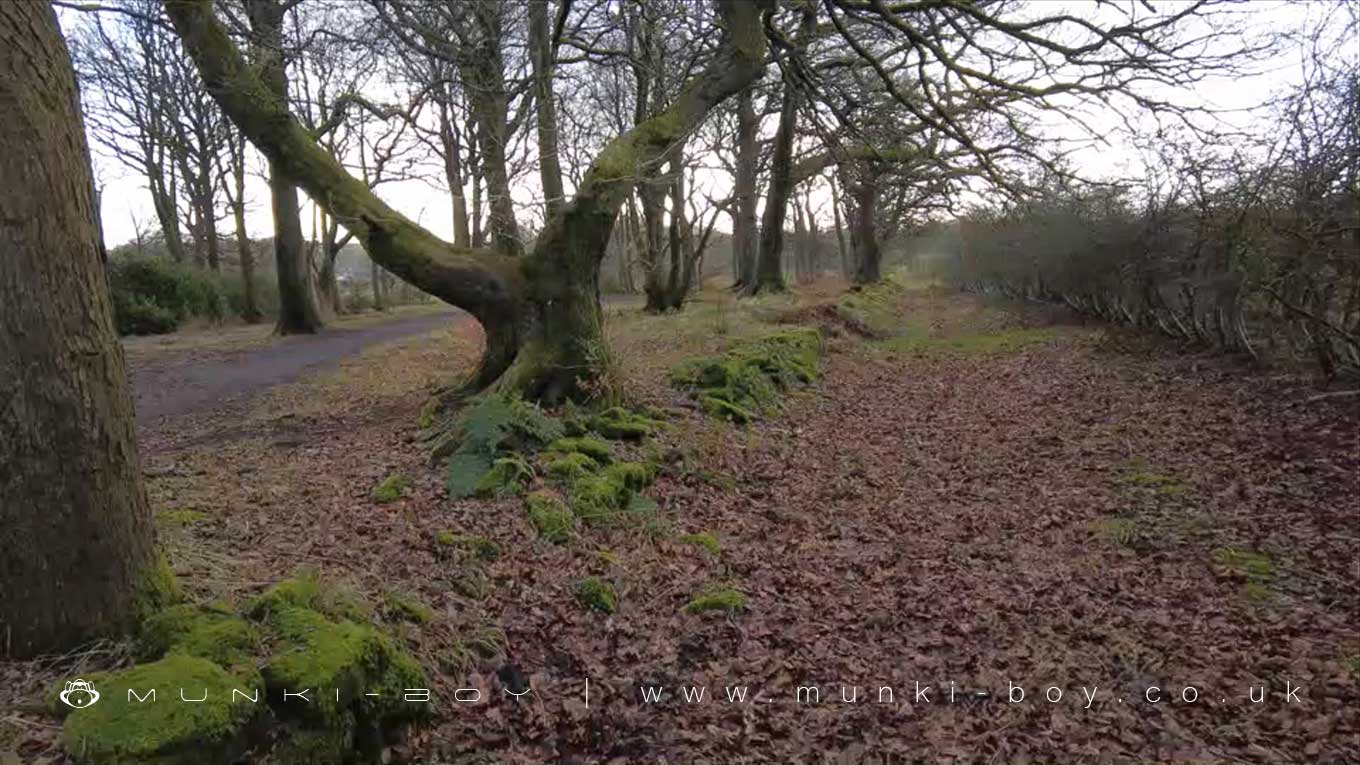 Coal Tramroad at Smithills
