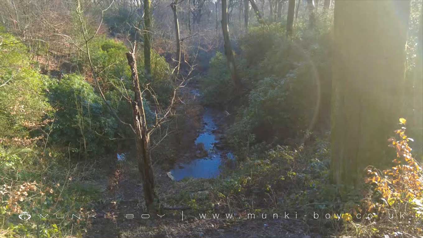 Raveden Brook